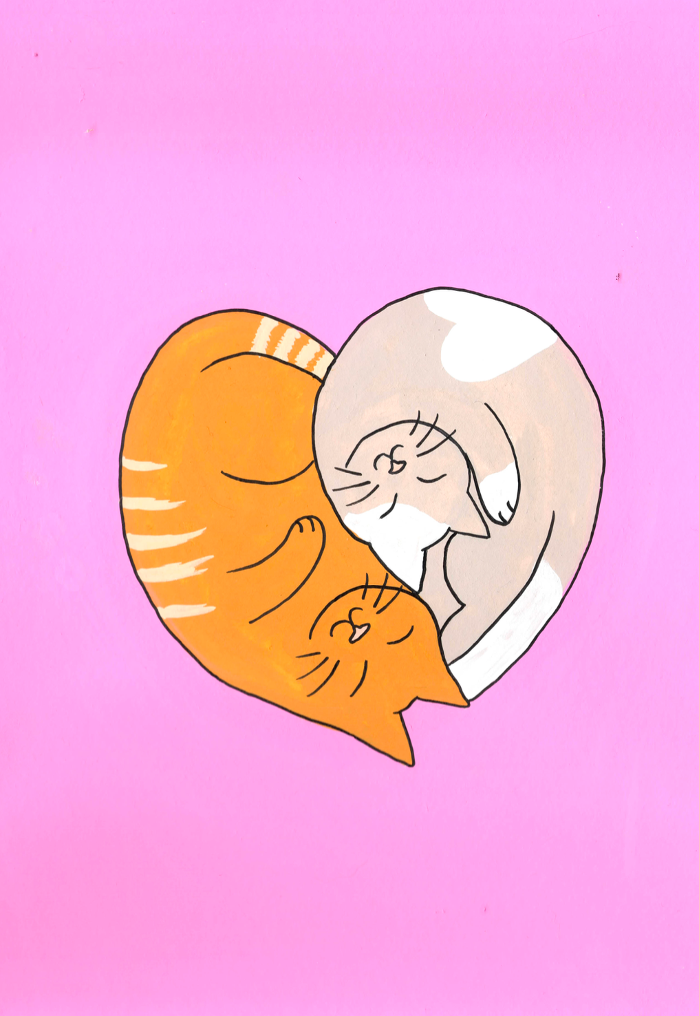 Kitty Cuddles Greeting Card