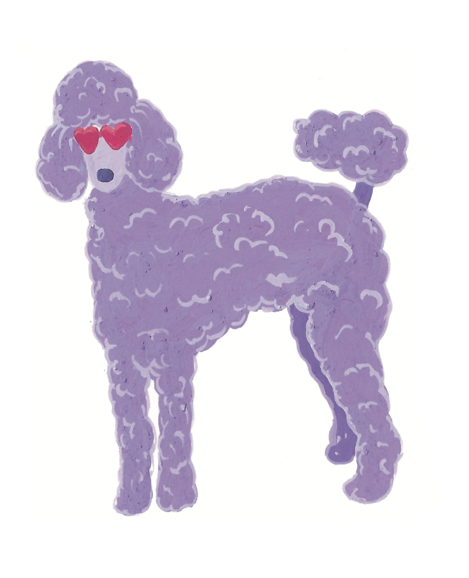 Groovy Poodle Miniature Greeting Card