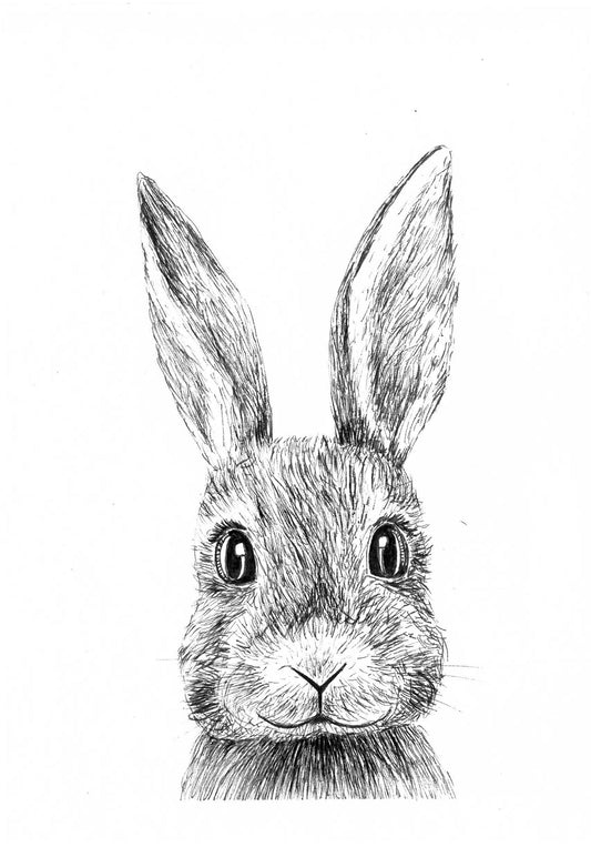 Bunny Greeting Card