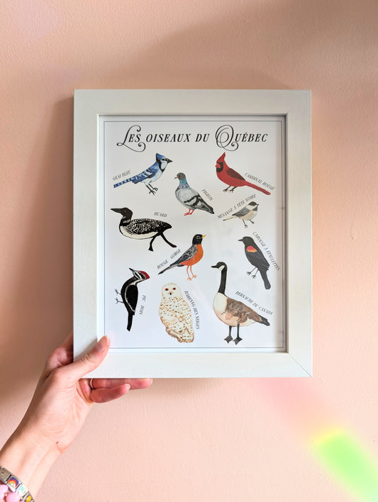 Oiseaux du Québec print poster affiche Montréal 
