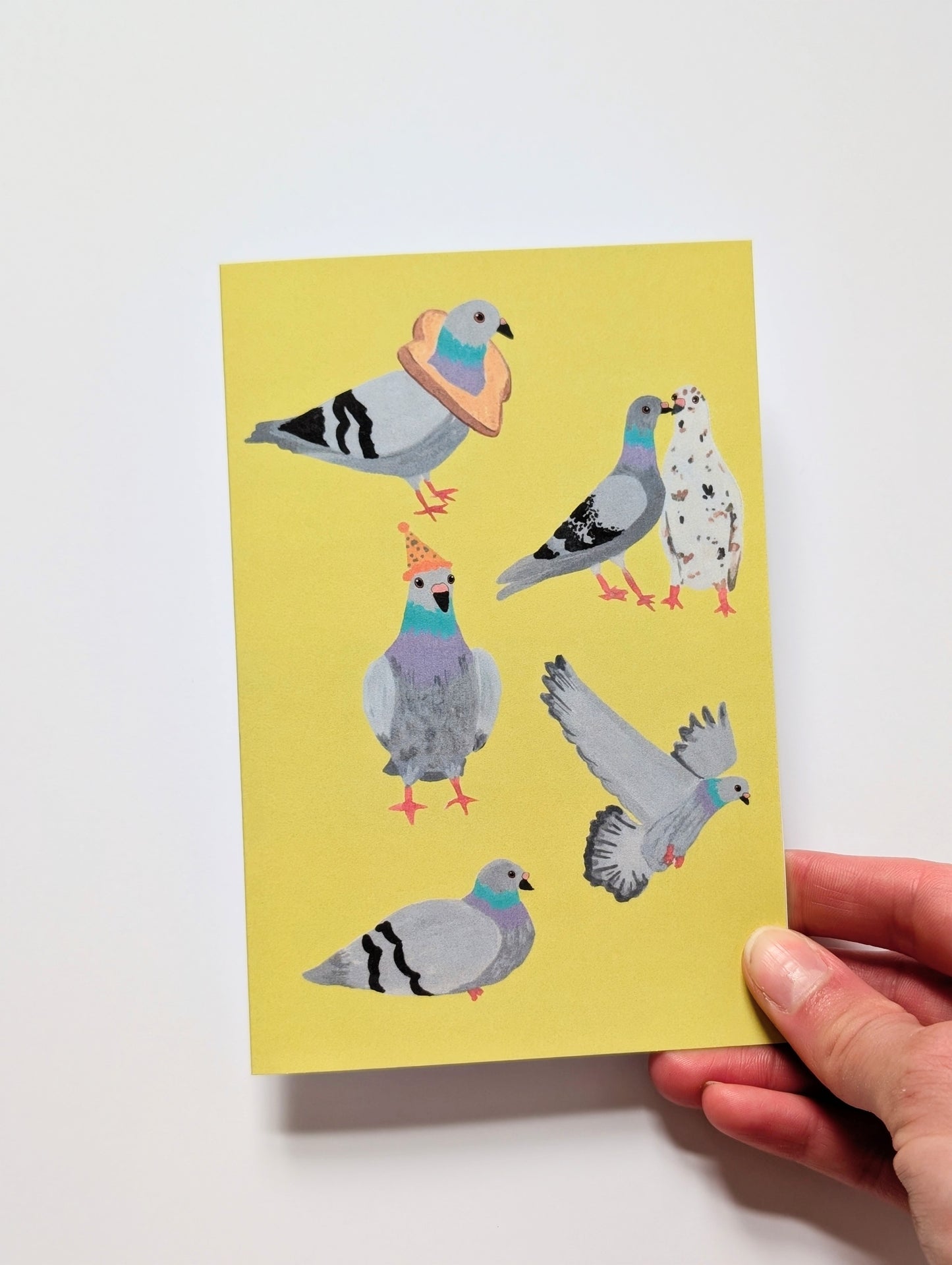 Pigeons Greeting Card