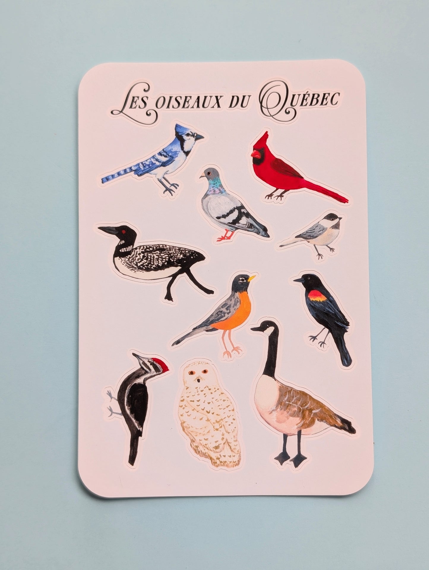 Les oiseaux du Québec Sticker Sheet