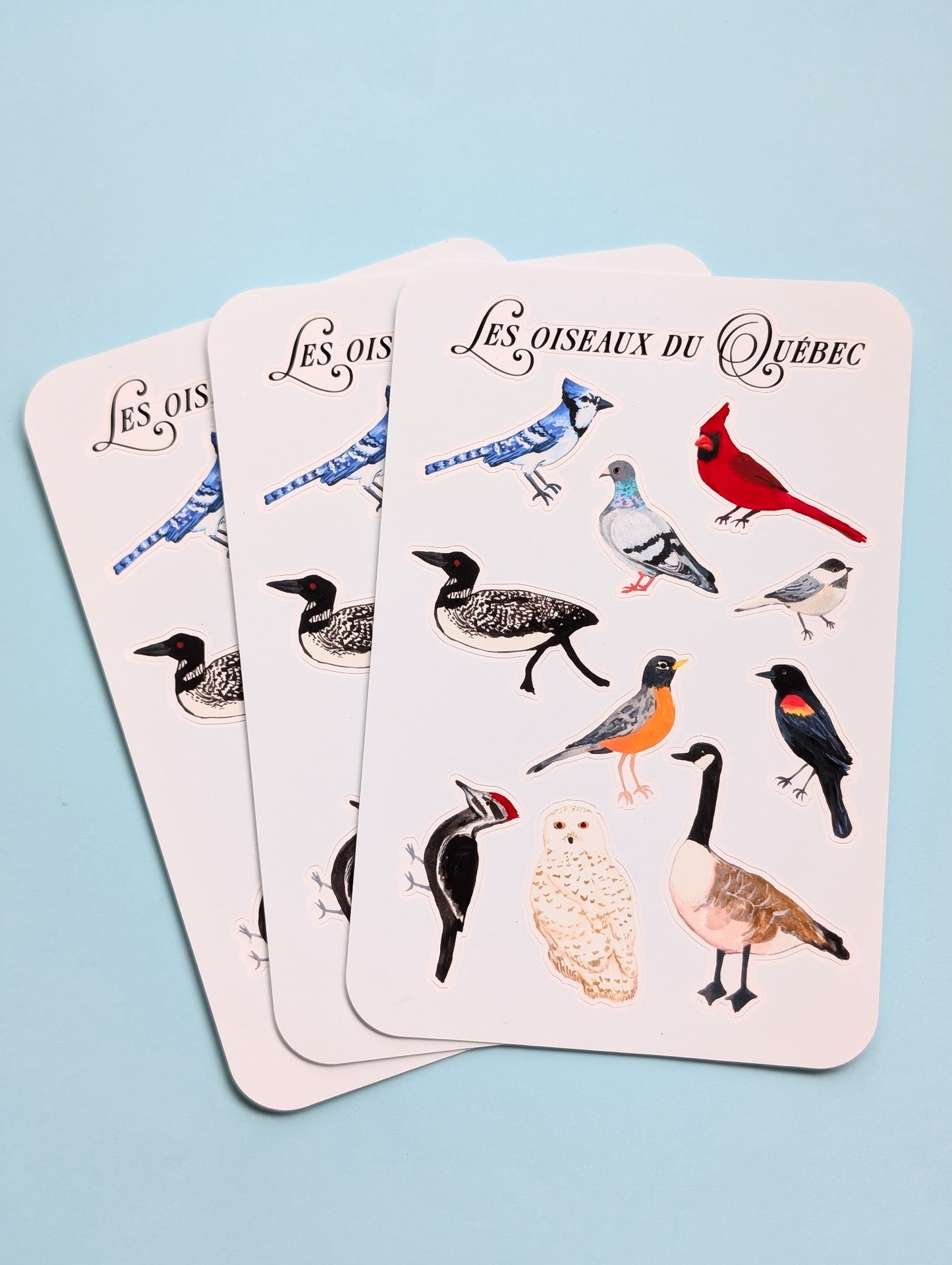 Les oiseaux du Québec Sticker Sheet