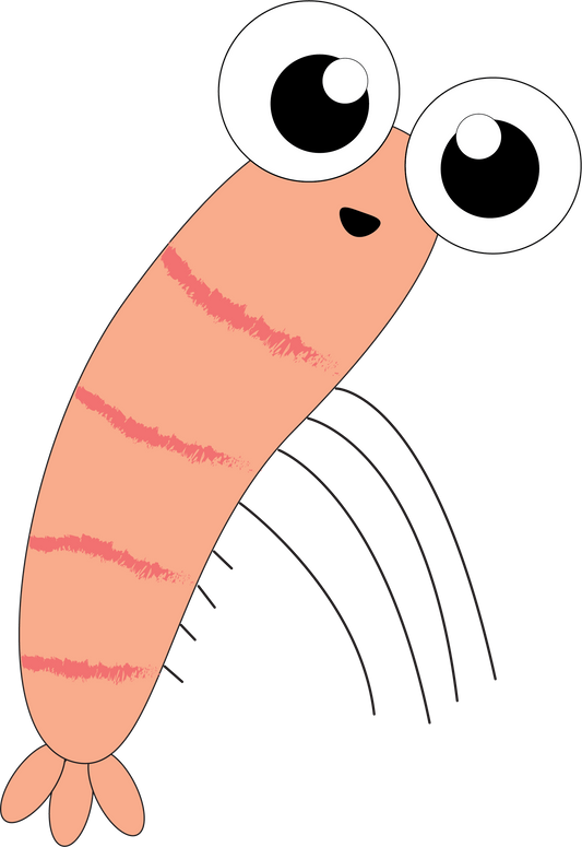 Shrimp Magnet